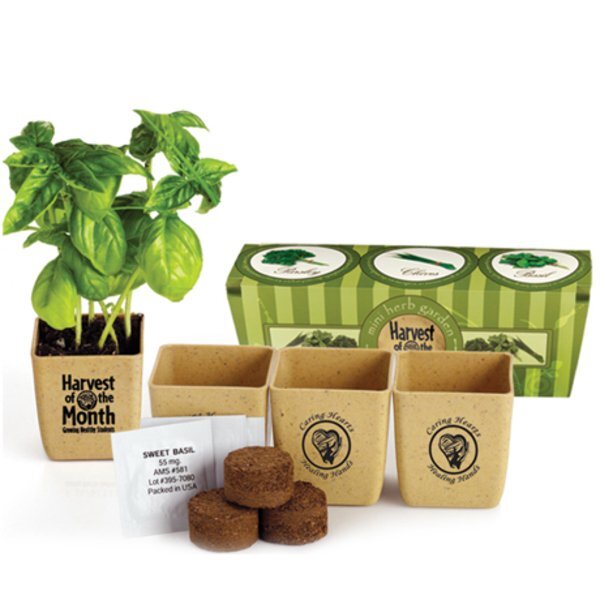 Herb Garden Set