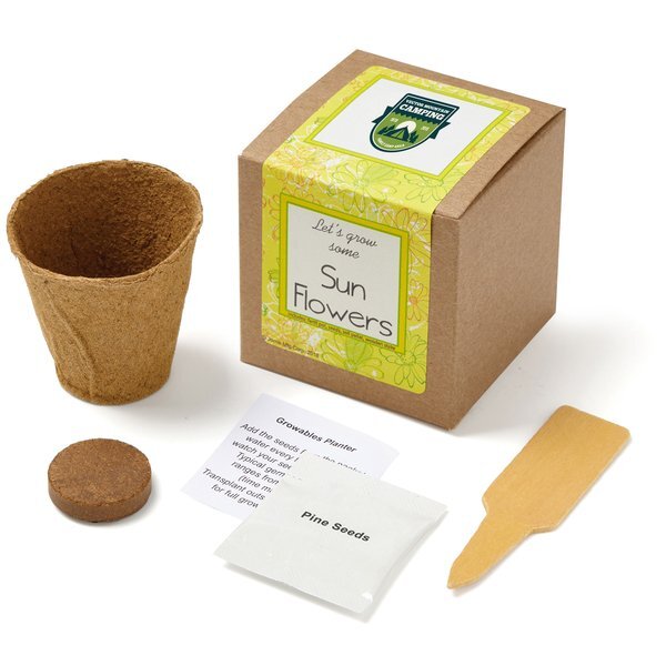Sunflowers Growables Planter in Kraft Gift Box w/ Label