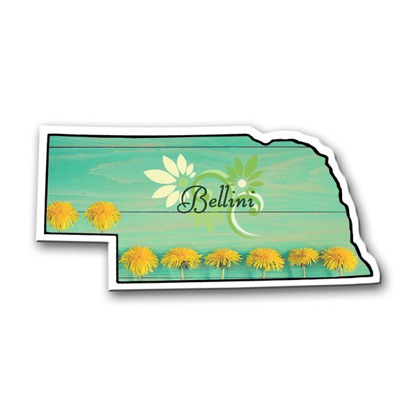 Nebraska State Shaped Magnet