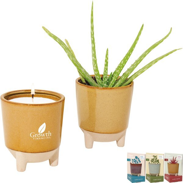 Modern Sprout Glow & Grow Live Well Gift Set