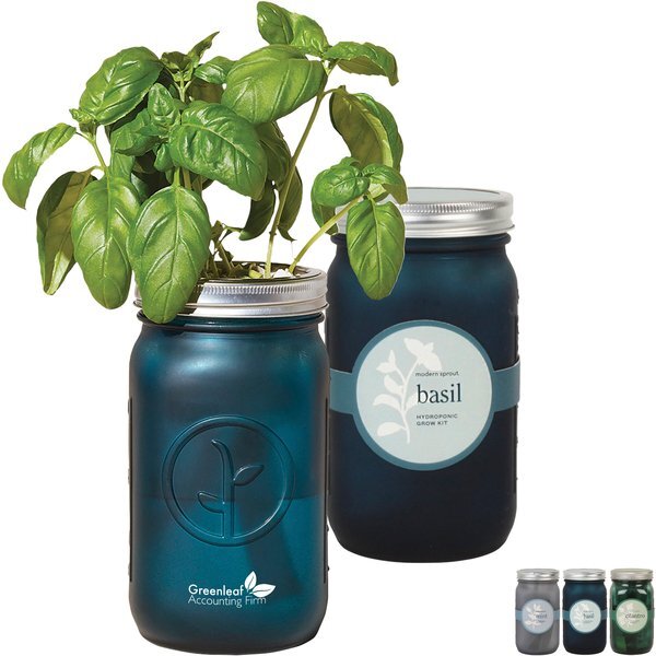 Modern Sprout Indoor Herb Garden Kit