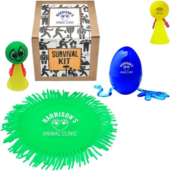 Indoor Play Survival Kit