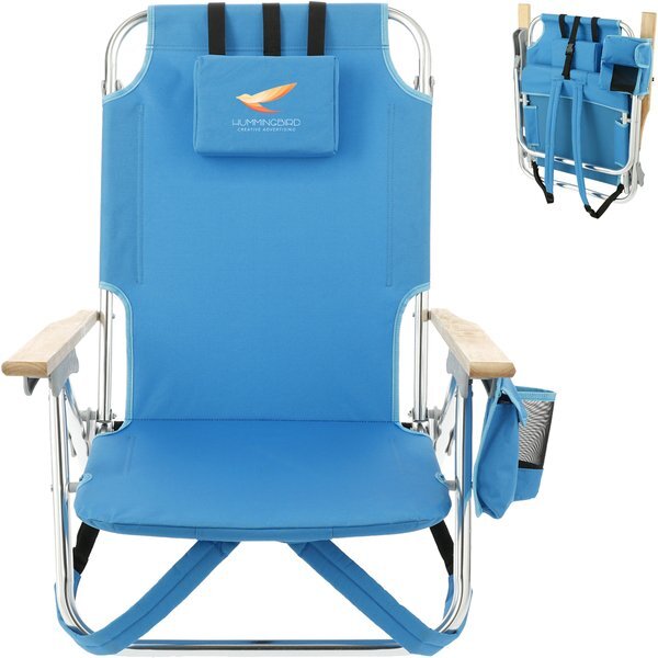 Adjustable Position Beach Chair