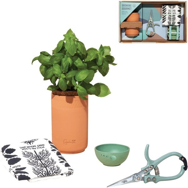 Modern Sprout® Growing Gourmet Gift Set